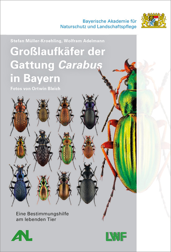 Das Titelbild zeigt eine Vielzahl verschiedenartiger Laufkäfer.