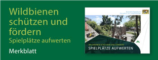 Titelseite der Broschüre