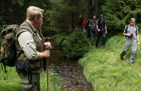 Nationalpark-Ranger Günter Sellmeyer beobachtet die auf der andern Bachseite laufende Gruppe