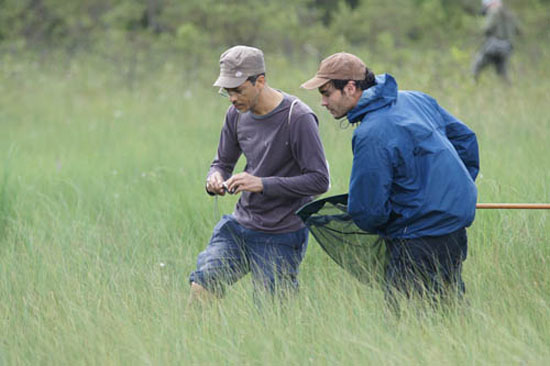 Zwei Exkursionsteilnehmer auf der Jagd nach seltenen Libellenarten.