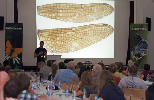 Blick in den Vortragssaal zur Präsentation