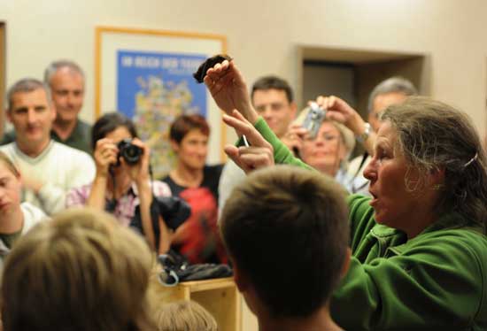 Eine Frau hält eine Fledermaus mit der Hand nach oben, während die Zuschauer um sie herum stehen und zusehen, zuhören und fotografieren.