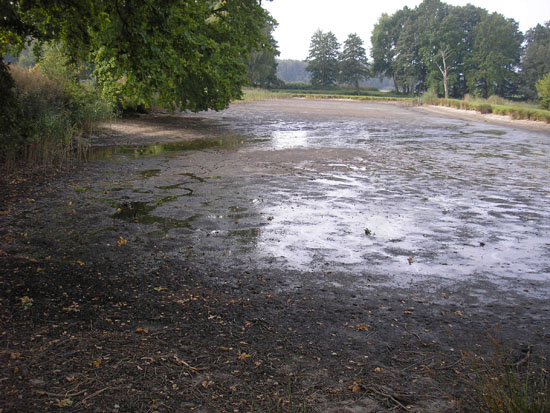 Weiher mit einem Randstreifen aus Erde und Zweigen, im Hintergrund Wälder.