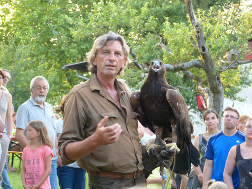 Der Falkner Wolfgang Czech mit seinem Steinadlerweibchen auf dem Arm.