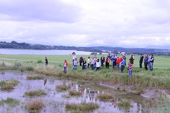 Im Vordergrund das mit Wasser gefüllte und von einzelnen Grashorsten durchsetzte Rückhaltebecken, dahinter die Exkursionsteilnehmer, im Hintergrund der Tachinger See.