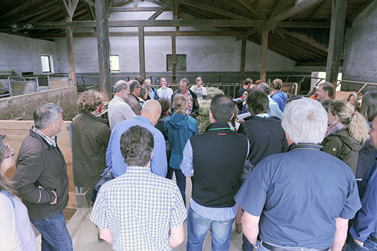 Exkursionsteilnehmer im Kuhstall hören dem in der Mitte stehenden Referenten zu.