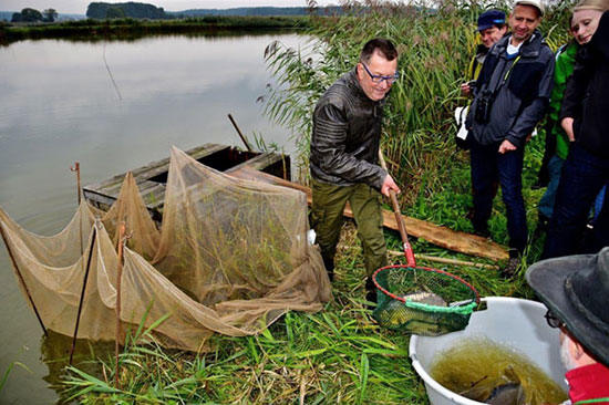 Teichwirt Leonhard Thomann zeigt den Exkursionsteilnehmern verschiedene Fischarten aus seinem Teich. 