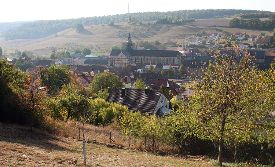 Blick von einem Hügel auf das Kloster Ebrach, umgeben von Häusern und üppiger Landschaft.