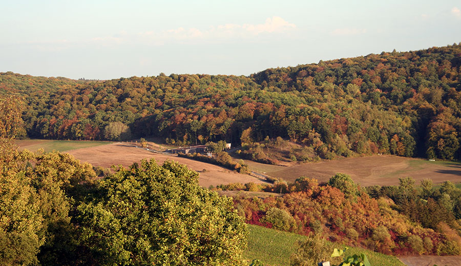 Das Steigerwald-Zentrum inmitten einer herbstlichen Landschaft mit bunt gefärbten Wäldern.