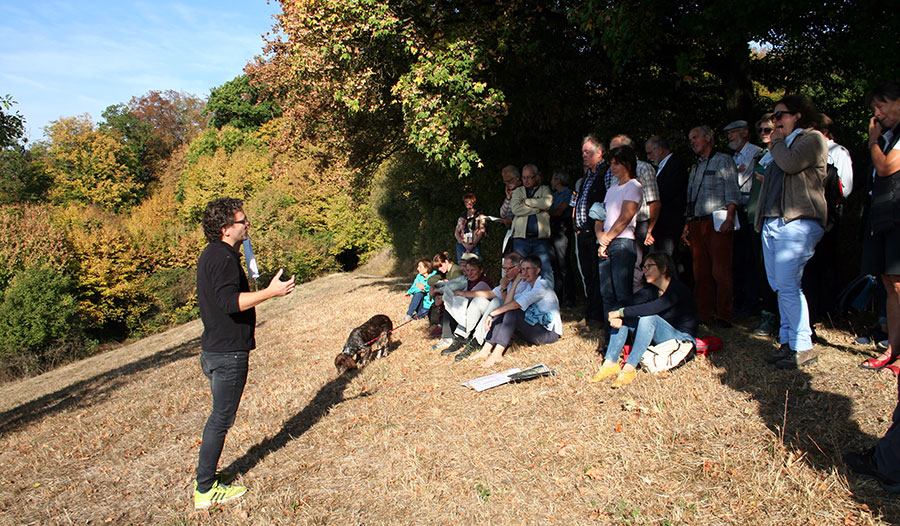 Die Exkursionsteilnehmer lauschen am Ebracher Panoramaweg gespannt den Ausführungen von Dr. Thomas Büttner.