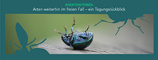 Titelseite vom Leitfaden Unternehmen Natur