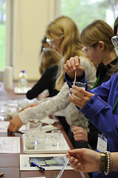 Die Teilnehmerinnen des Girls’Day beim experimentieren im Labor.